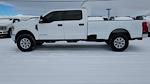 2020 Ford F-250 Crew Cab 4WD Pickup for sale #LEE62252T - photo 4