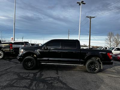 2023 Ford F-150 SuperCrew Cab 4WD Pickup for sale #PFA90268P - photo 2