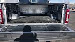 2023 Ford F-150 SuperCrew Cab 4WD Pickup for sale #PFB28913SA - photo 19