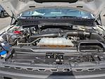 2023 Ford F-150 SuperCrew Cab 4WD Pickup for sale #PFC66950G - photo 33