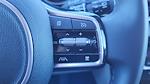 Used 2024 Kia Carnival EX Minivan for sale #R6435086T - photo 15