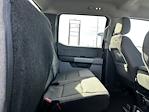 2024 Ford F-250 Crew Cab 4WD Pickup for sale #REE30842R - photo 10