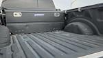 2024 Ford F-250 Crew Cab 4WD Pickup for sale #REE64751T - photo 3