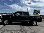 2024 Ford F-150 SuperCrew Cab 4WD Pickup for sale #RFA00687W - photo 2