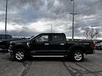 2024 Ford F-150 SuperCrew Cab 4WD Pickup for sale #RFA27441W - photo 1