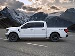 New 2024 Ford F-150 STX SuperCrew Cab 4WD Pickup for sale #RFB35132 - photo 3