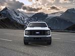 New 2024 Ford F-150 STX SuperCrew Cab 4WD Pickup for sale #RFB35132 - photo 6