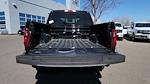 2025 Ford F-150 SuperCrew Cab 4WD Pickup for sale #SFA02983 - photo 49