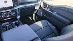 2025 Ford F-150 SuperCrew Cab 4WD Pickup for sale #SFA23420 - photo 16