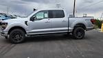 New 2025 Ford F-150 XLT SuperCrew Cab 4WD Pickup for sale #SFC03595 - photo 3