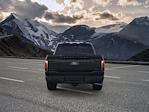2025 Ford F-150 SuperCrew Cab 4WD Pickup for sale #SFC38766A - photo 4