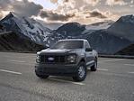 2025 Ford F-150 Regular Cab 4WD Pickup for sale #SKE58621 - photo 3