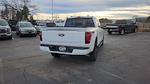2025 Ford F-150 SuperCrew Cab 4WD Pickup for sale #SKF63572 - photo 10