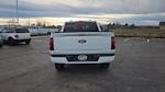 2025 Ford F-150 SuperCrew Cab 4WD Pickup for sale #SKF63572 - photo 9
