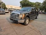 2009 Ford F-150 SuperCrew Cab 4WD Pickup for sale #9FA88662T - photo 1