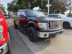2011 Ford F-150 SuperCrew Cab 4WD Pickup for sale #BFC98337T - photo 3
