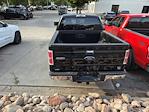 2011 Ford F-150 SuperCrew Cab 4WD Pickup for sale #BFC98337T - photo 6