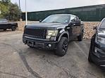 2013 Ford F-150 SuperCrew Cab 4WD Pickup for sale #DKE36707T - photo 1