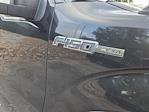 2013 Ford F-150 SuperCrew Cab 4WD Pickup for sale #DKE36707T - photo 13