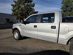 2014 Ford F-150 SuperCrew Cab 4WD Pickup for sale #EKD59790T - photo 8