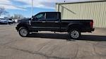 2019 Ford F-250 Crew Cab 4WD Pickup for sale #KEG81887T - photo 4