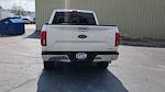 2019 Ford F-150 SuperCrew Cab 4WD Pickup for sale #KFB38380T - photo 13