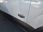 2019 Ford F-150 SuperCrew Cab 4WD Pickup for sale #KFB95801T - photo 15