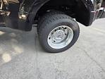 2021 Ford F-450 Crew Cab DRW 4WD Pickup for sale #MED01076T - photo 10