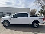 2021 Ford F-150 SuperCrew Cab 4WD Pickup for sale #MKE41268T - photo 3
