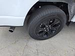 2022 Ford F-150 SuperCrew Cab 4WD Pickup for sale #NFB15248W - photo 11