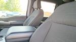 2022 Ford F-150 SuperCrew Cab 4WD Pickup for sale #OEMCNFB90298S - photo 18