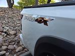 2022 Nissan Frontier Crew Cab 4WD Pickup for sale #NN625854C - photo 14