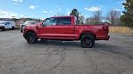 2025 Ford F-150 SuperCrew Cab 4WD Pickup for sale #OEMCSFB03688P - photo 6