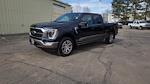 2023 Ford F-150 SuperCrew Cab 4WD Pickup for sale #OEMCPFA25811W - photo 11