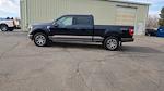 2023 Ford F-150 SuperCrew Cab 4WD Pickup for sale #OEMCPFA25811W - photo 15
