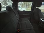 2023 Ford F-150 SuperCrew Cab 4WD Pickup for sale #PFB60691T - photo 17
