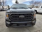 2023 Ford F-150 SuperCrew Cab 4WD Pickup for sale #PFB60691T - photo 2