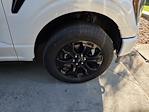 2023 Ford F-150 SuperCrew Cab 4WD Pickup for sale #PFB76878W - photo 12