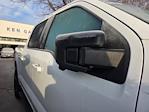 2023 Ford F-150 SuperCrew Cab 4WD Pickup for sale #PFD08309W - photo 12