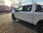 2023 Ford F-150 SuperCrew Cab 4WD Pickup for sale #PFD08309W - photo 7