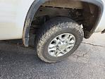 2024 Chevrolet Silverado 3500 Crew Cab 4WD Pickup for sale #RF208116T - photo 10