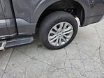 2024 Ford F-150 SuperCrew Cab 4WD Pickup for sale #RFA01534W - photo 10