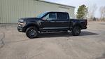 2024 Ford F-150 SuperCrew Cab 4WD Pickup for sale #OEMCRFA74172T - photo 11