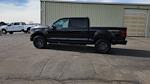 2024 Ford F-150 SuperCrew Cab 4WD Pickup for sale #OEMCRFA74172T - photo 13