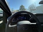 2024 Ford F-150 SuperCrew Cab 4WD Pickup for sale #RFA86203T - photo 14