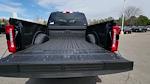 New 2025 Ford F-250 XLT Crew Cab 4WD Pickup for sale #SEC50982 - photo 25