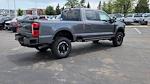 2025 Ford F-250 Crew Cab 4WD Pickup for sale #SED53717 - photo 10