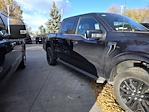 2025 Ford F-150 SuperCrew Cab 4WD Pickup for sale #SFA93907T - photo 4