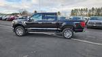 2025 Ford F-150 SuperCrew Cab 4WD Pickup for sale #SFB10488 - photo 25
