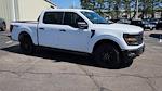 2025 Ford F-150 SuperCrew Cab 4WD Pickup for sale #SFB13228 - photo 12